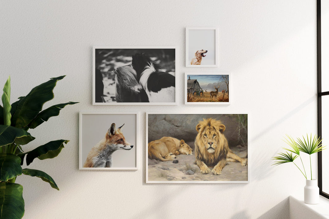 Animal Wall Art – Unlock Earth's Wondrous Beauty