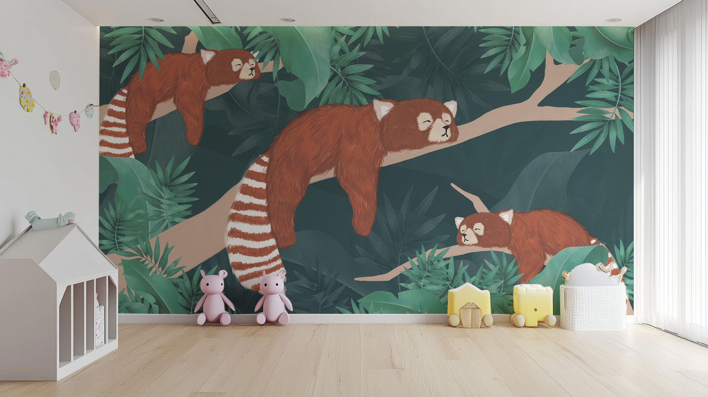 Sleeping Red Pandas Wall Mural for a calm atmosphere