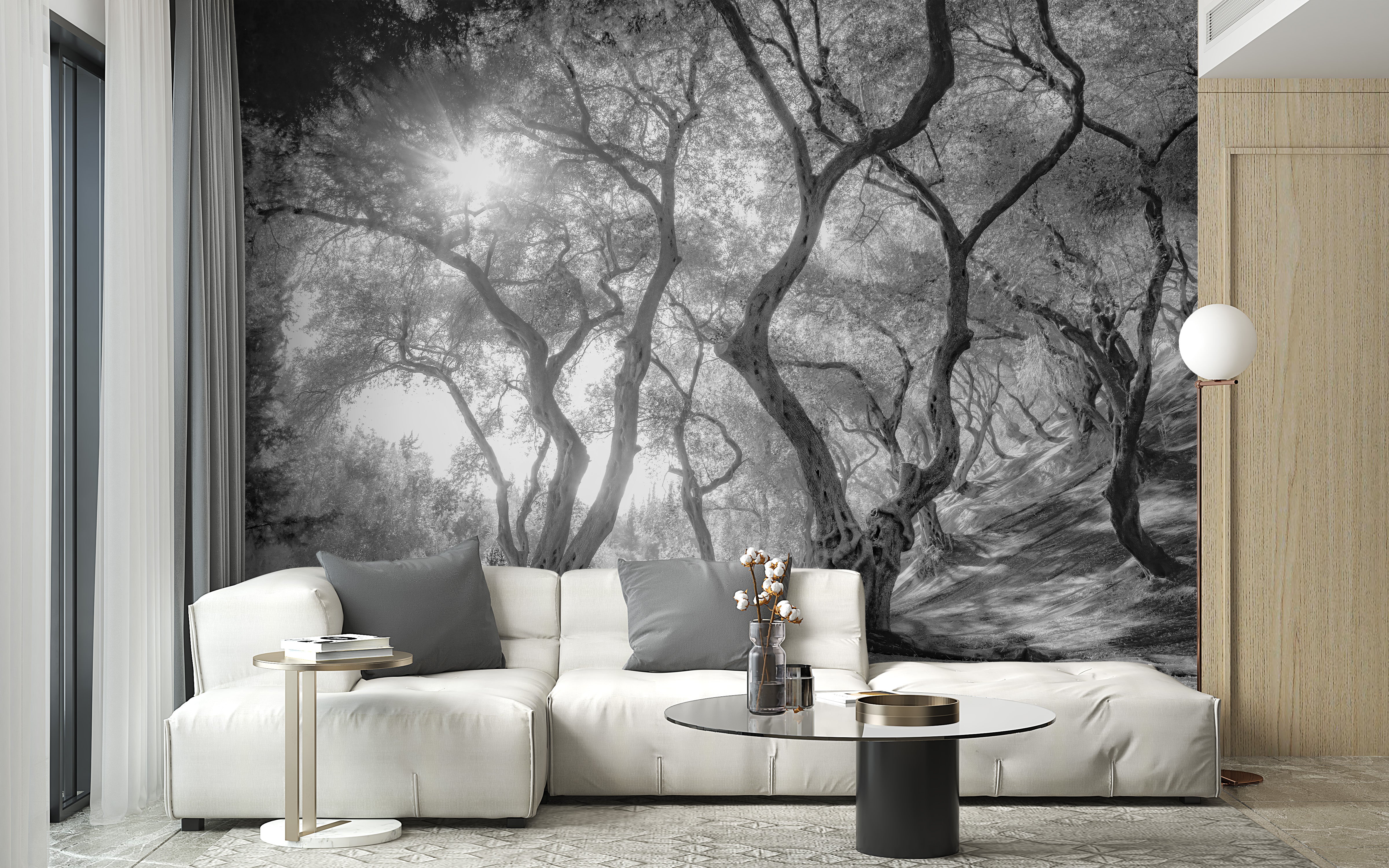 Monochrome olive grove wallpaper for natural wall decor