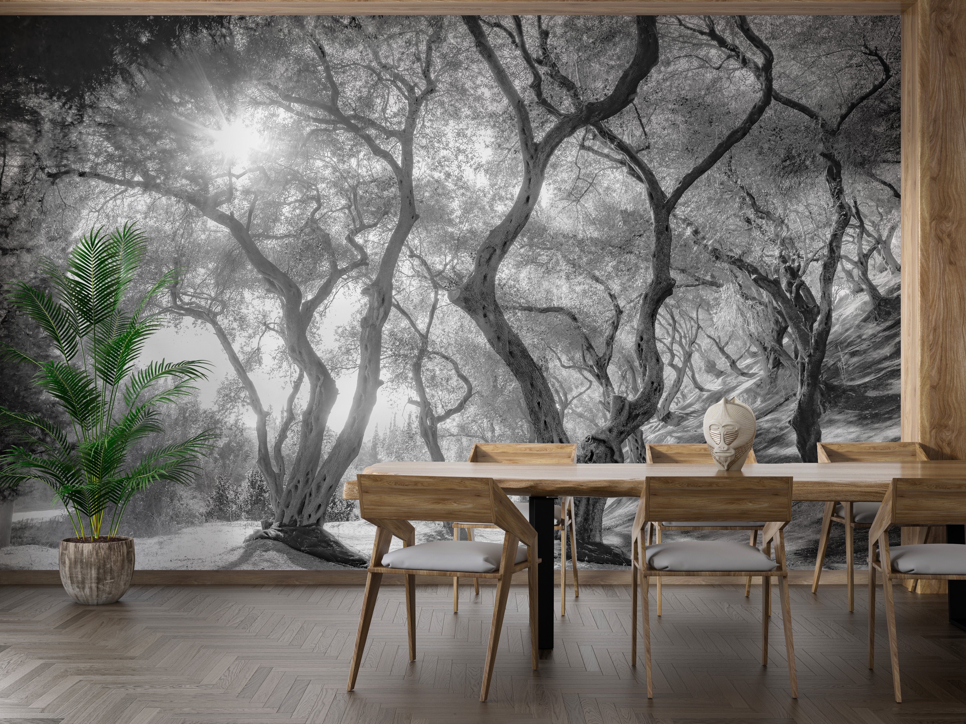 Forest-themed olive grove wallpaper in monochrome