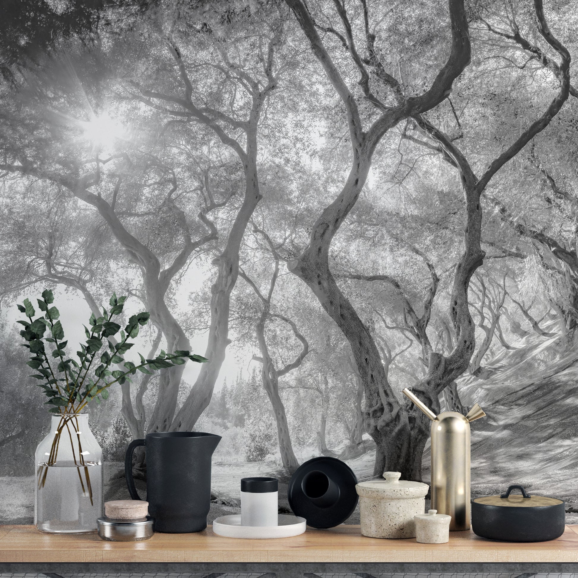 Black & white forest wallpaper featuring olive trees