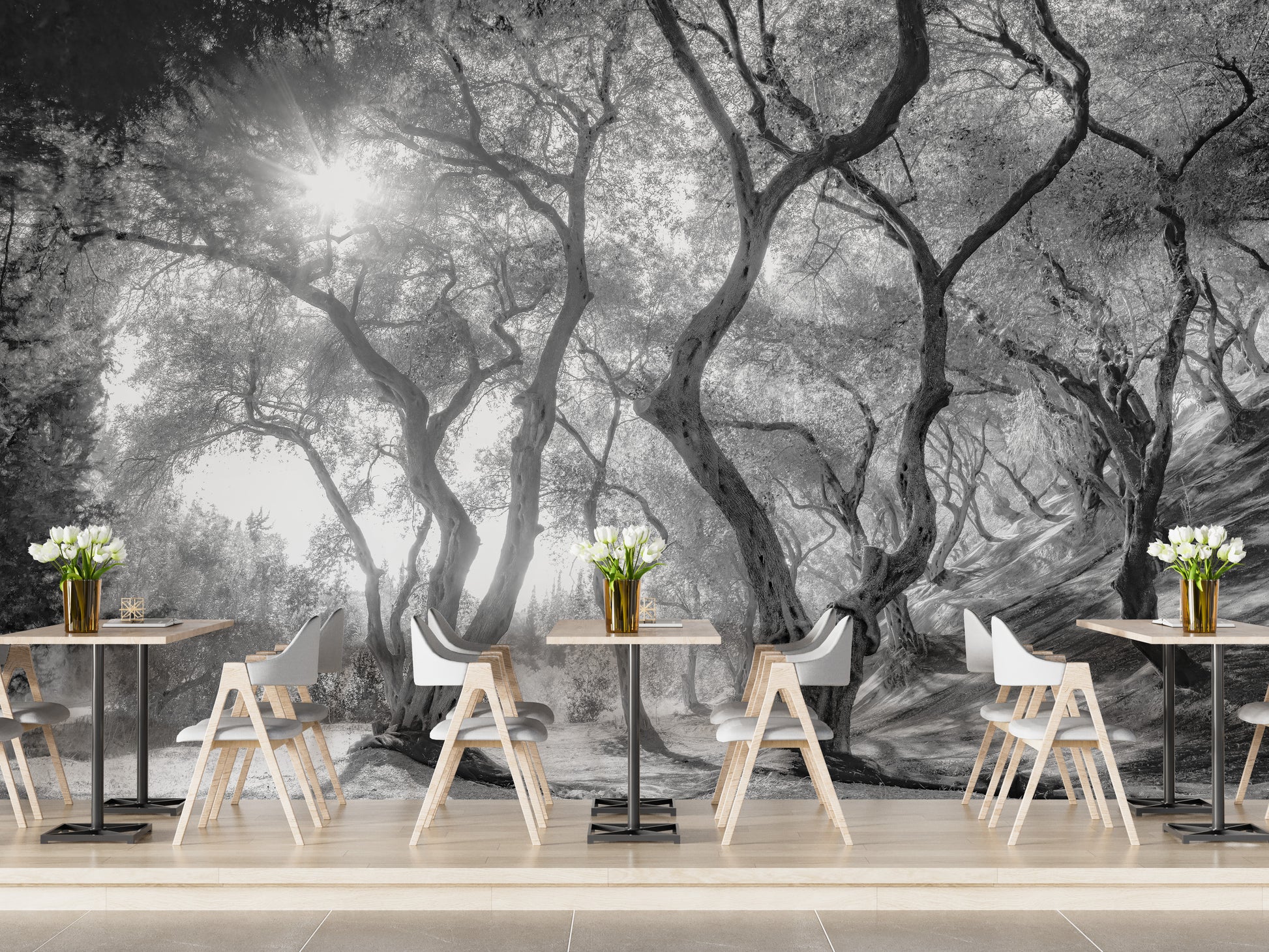 Olive grove forest mural in black and white tones