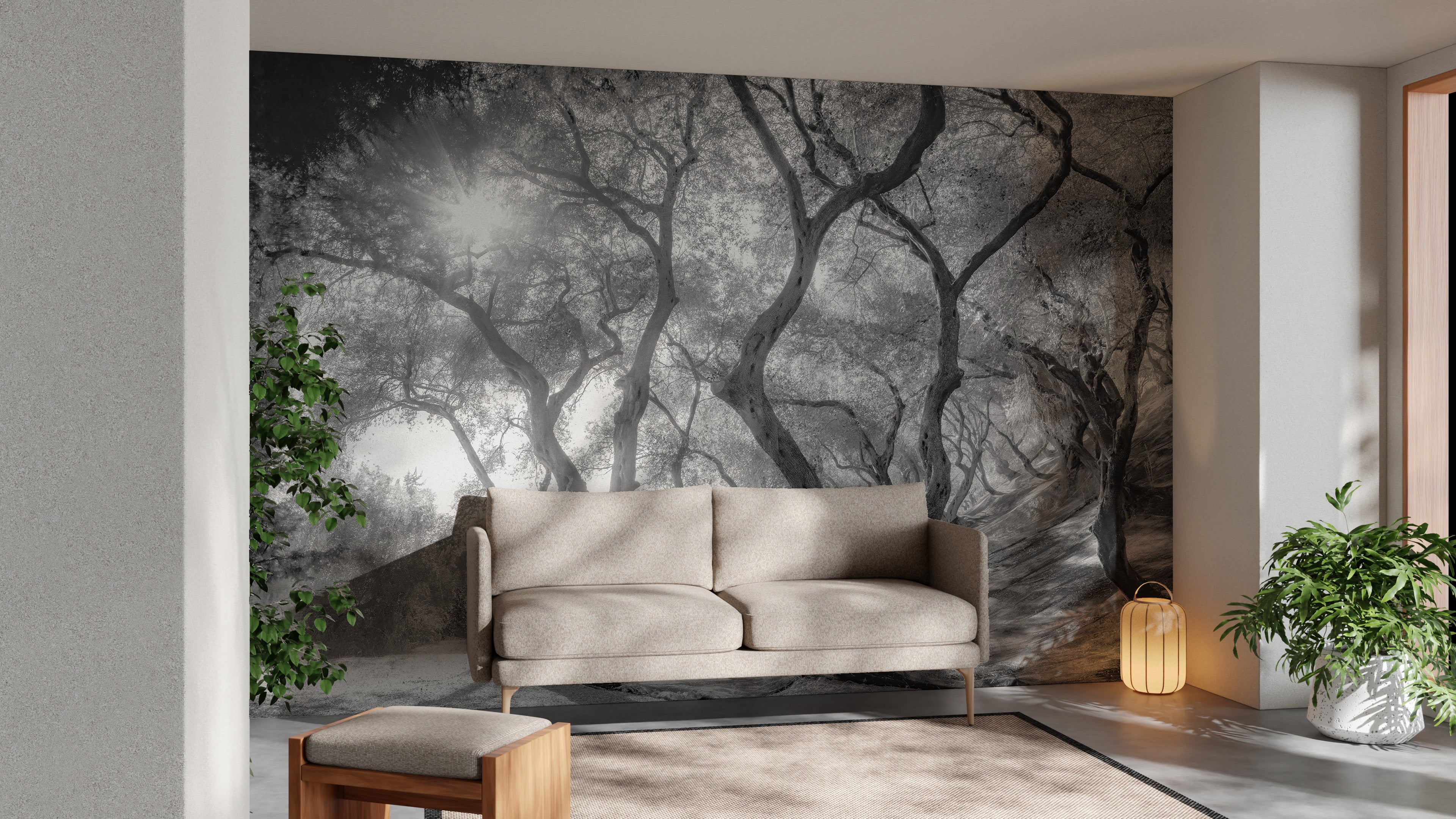 Black-white olive grove wall art for timeless interiors