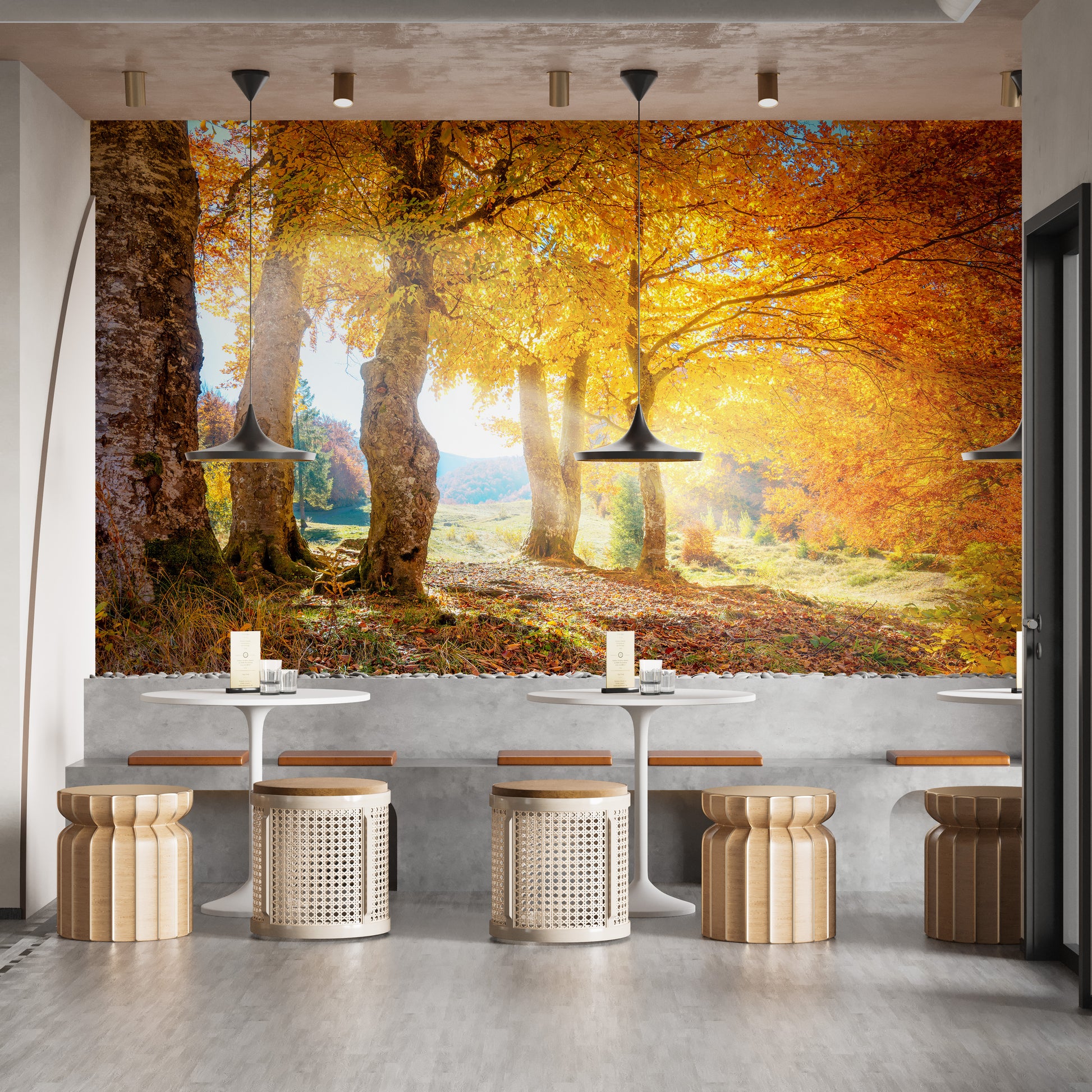 Autumn Forest Mural with Yellow Leaves for Rooms