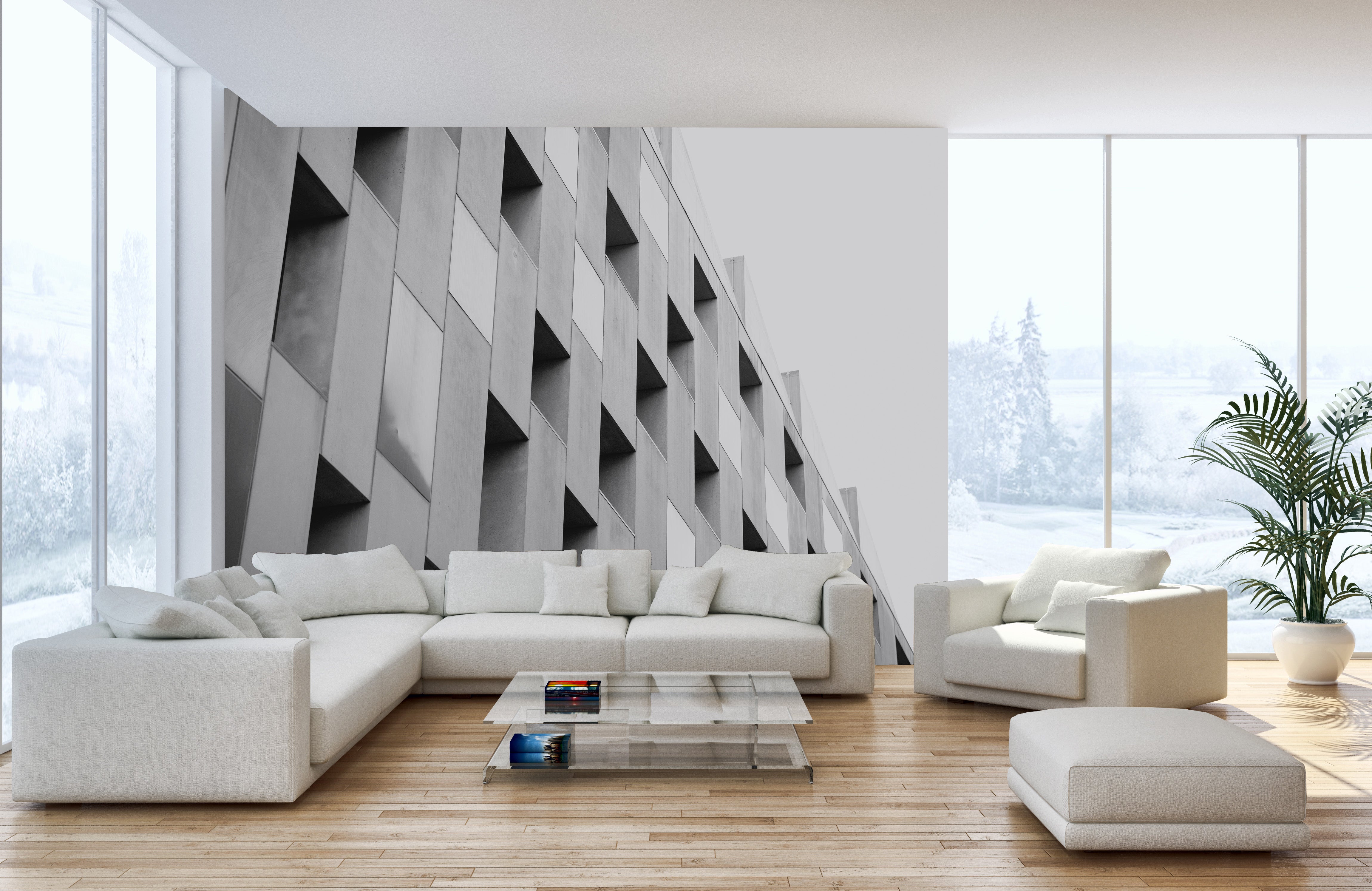 Black and White Sophisticated Structure Wallpaper Mural