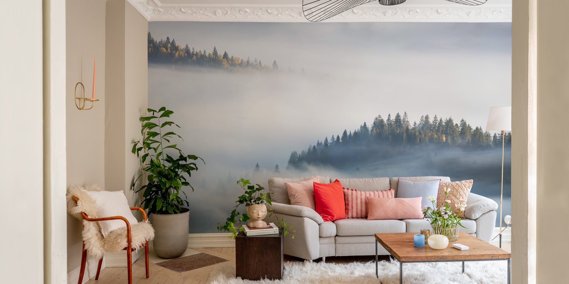 Misty Maple Tree Wall Mural with soft, veiled look
