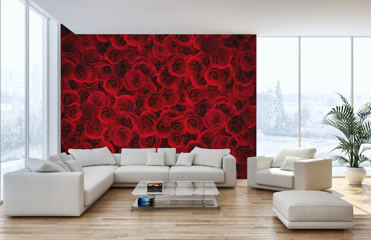 Peel and Stick Fiery Rose Mural for Interior Walls