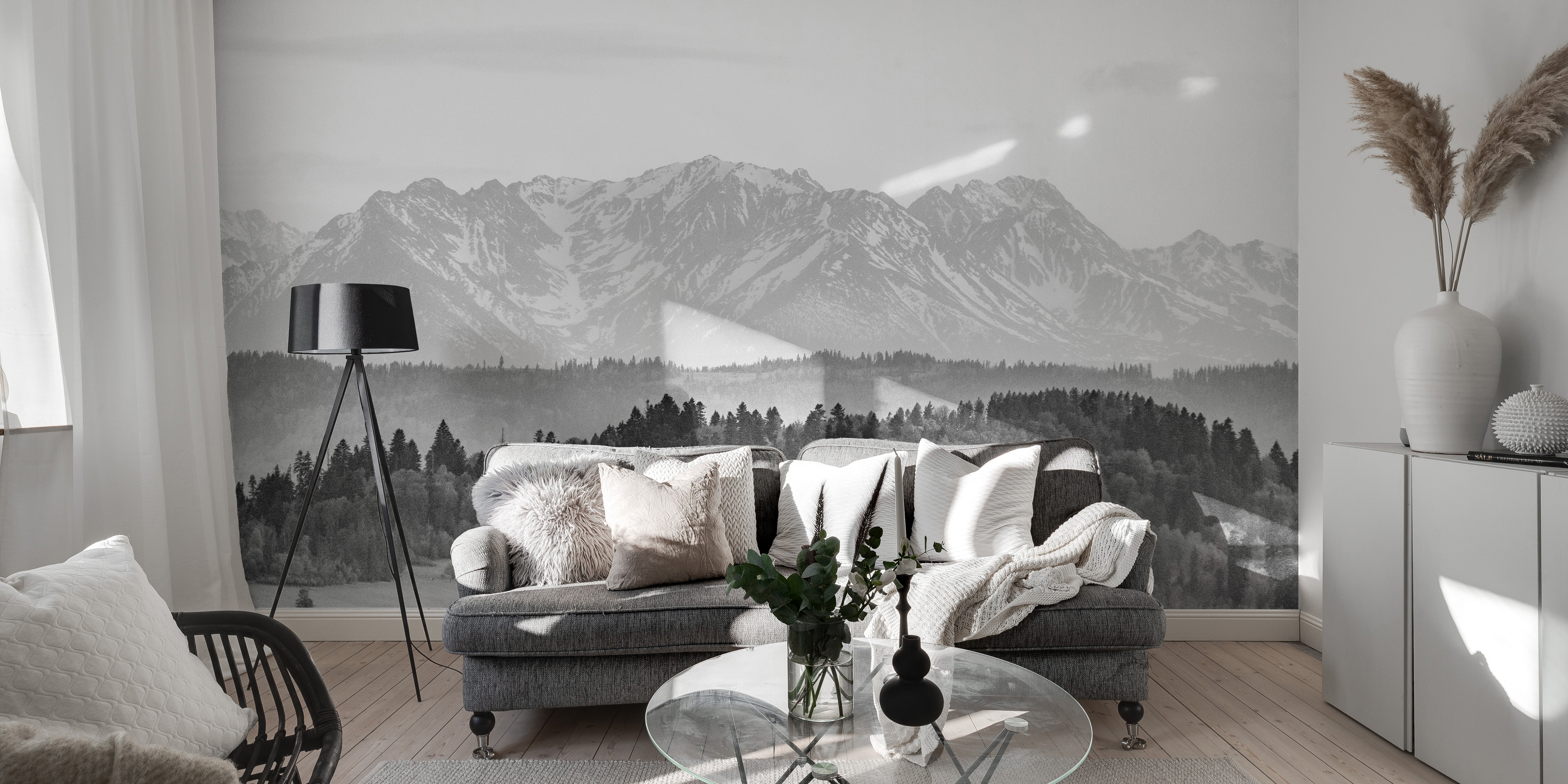 Snowy Mountain Range Wallpaper Mural
